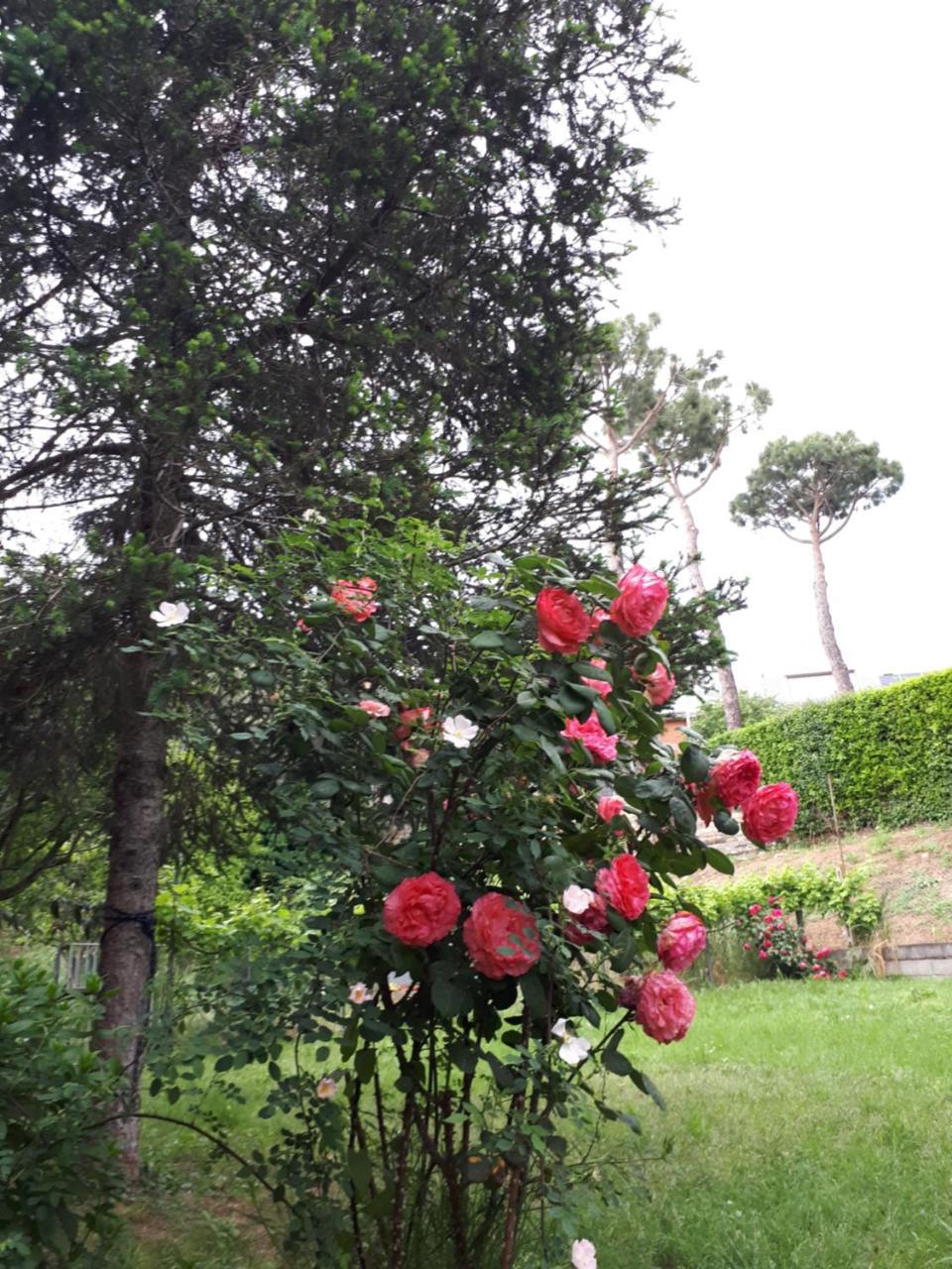 B&B Papa Leone Countryrooms Roma Exterior foto